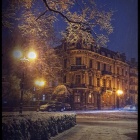 zdjęcie nr 8
