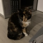Fotka nr 1 z 4