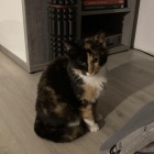 Fotka nr 3 z 4