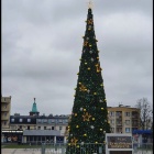 zdjęcie nr 51
