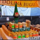 zdjęcie nr 10