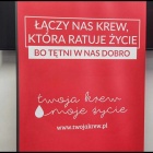zdjęcie nr 10
