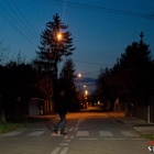 Fotka nr 2 z 6