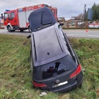 Fotka nr 3 z 13