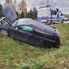 Fotka nr 4 z 13