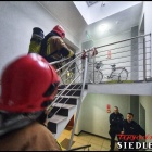 zdjęcie nr 11