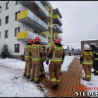 zdjęcie nr 23