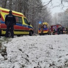 zdjęcie nr 13