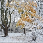 zdjęcie nr 32