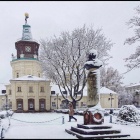 zdjęcie nr 7