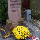 Fotka nr 4 z 29