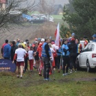 Fotka nr 4 z 19
