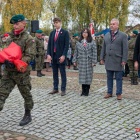 zdjęcie nr 201
