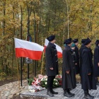 zdjęcie nr 28