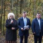 zdjęcie nr 31