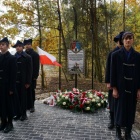 zdjęcie nr 43