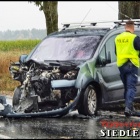 zdjęcie nr 14