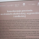 zdjęcie nr 5