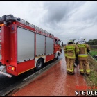 Fotka nr 4 z 19