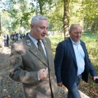 zdjęcie nr 15
