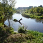 zdjęcie nr 19