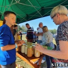 zdjęcie nr 16