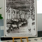zdjęcie nr 58