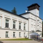 zdjęcie nr 8