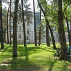 zdjęcie nr 88