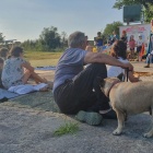 zdjęcie nr 13
