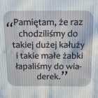 zdjęcie nr 21