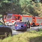 Fotka nr 5 z 12