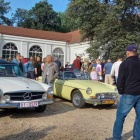 zdjęcie nr 45