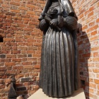 zdjęcie nr 36