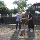 zdjęcie nr 61