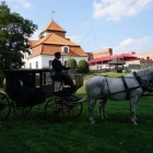 zdjęcie nr 82