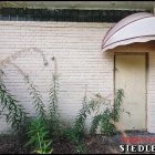 zdjęcie nr 39
