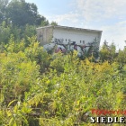 zdjęcie nr 58