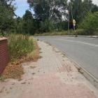 Fotka nr 3 z 8