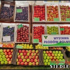 zdjęcie nr 22