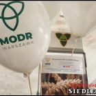 zdjęcie nr 25
