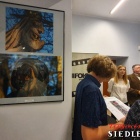zdjęcie nr 21