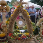 zdjęcie nr 16