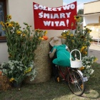zdjęcie nr 14