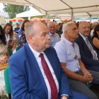 zdjęcie nr 31