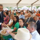zdjęcie nr 39
