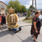 zdjęcie nr 10
