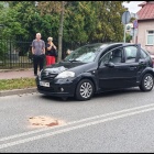 zdjęcie nr 11