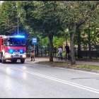 zdjęcie nr 12