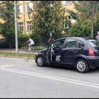 Fotka nr 1 z 12